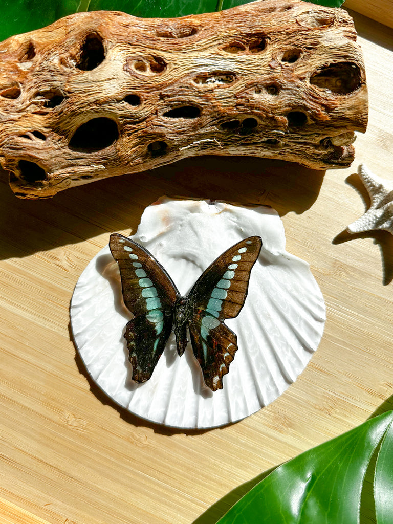 V.5 Butterfly Necklace – Takahashi Boutique