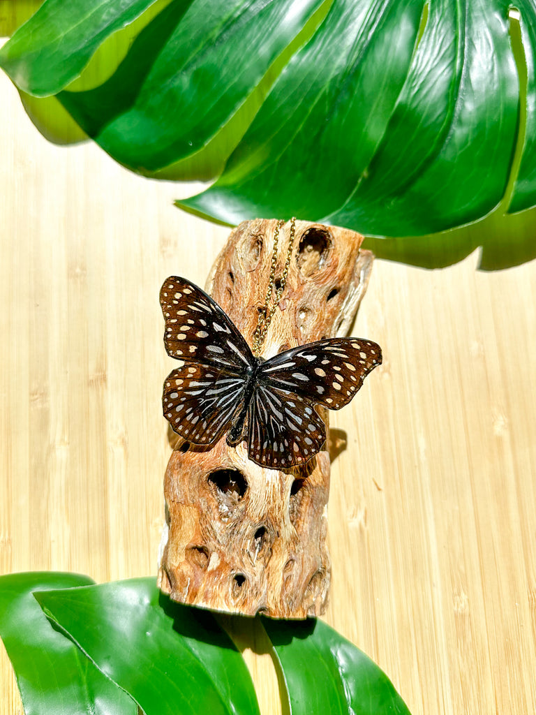 V.10 Butterfly Necklace – Takahashi Boutique